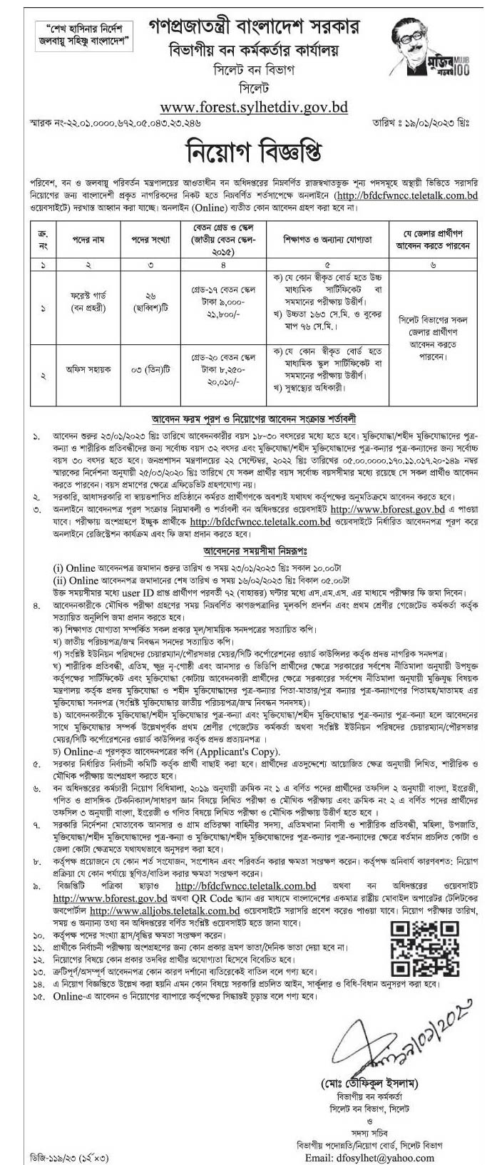 New Forest Department Job